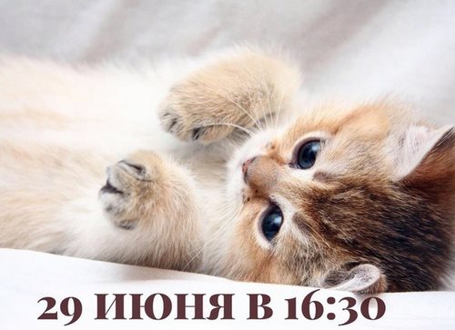 Изображение Живое пространство детский